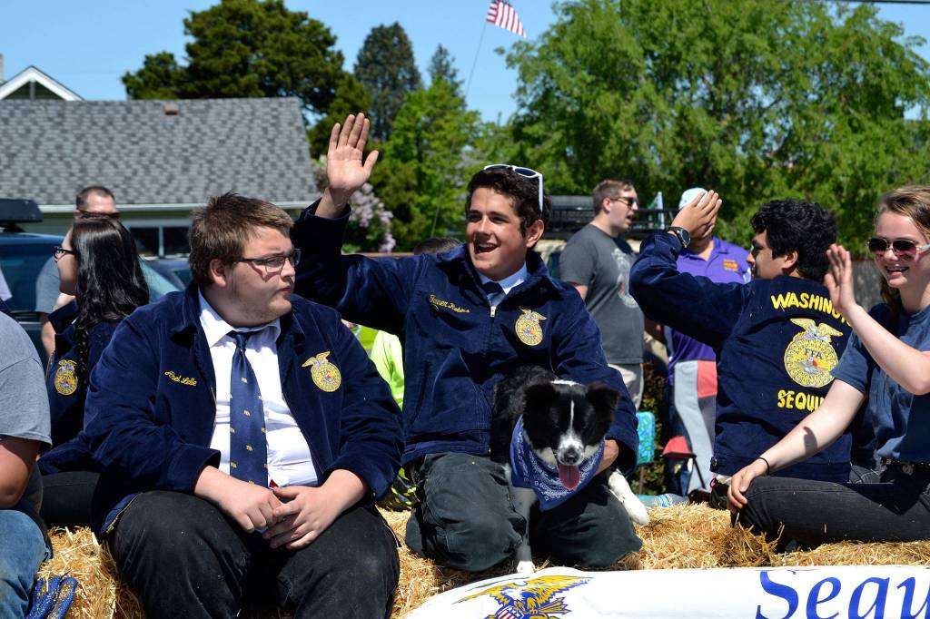 Abel Lelle, Tanner Robins, Charlie the dog, and Keri Tucker ride in the Sequim FFA float in the Grand Parade on May 12. Sequim Gazette photo by Matthew Nash
