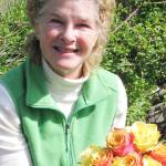 Learn about growing roses on the peninsula