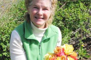 Learn about growing roses on the peninsula
