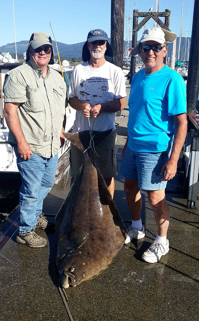 Heavy Halibut Haul