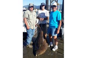 Heavy Halibut Haul