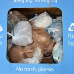 Sequim City Councilors may consider plastic bag ban this year