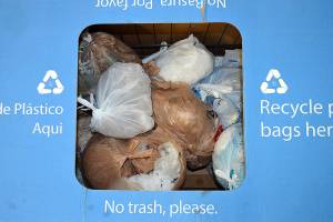 Sequim City Councilors may consider plastic bag ban this year