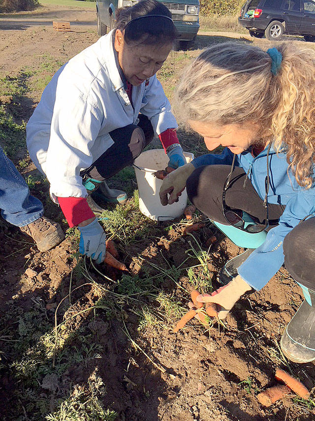 1940s theme set for gleaner kick-off