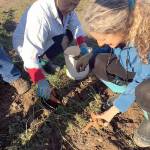 1940s theme set for gleaner kick-off