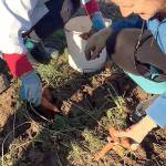 1940s theme set for gleaner kick-off