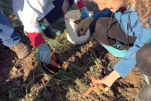 1940s theme set for gleaner kick-off