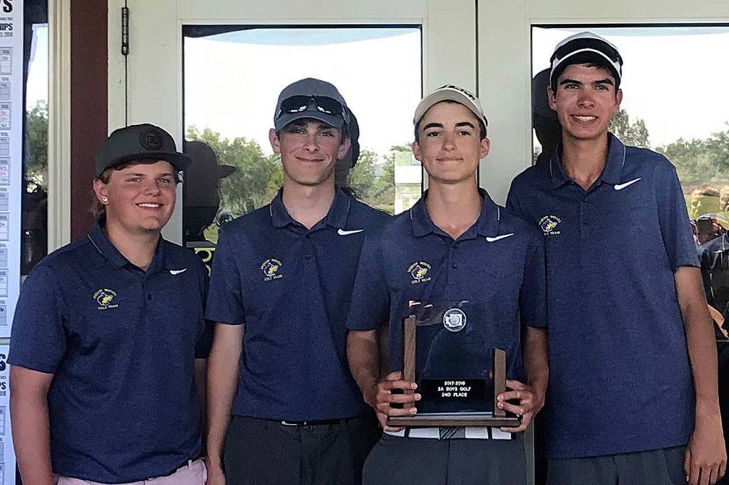 State 2A golf: SHS boys are runners-up at finals, Shea places fifth