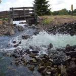 Kids Fishing Day organizers consider shifting event to cooler weekend