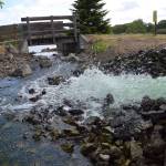 In early May, staff with the City of Sequim installed a new pipeline to pump reclaimed water into the holding pond in the Water Reclamation Demonstration Site to help with oxygen flow for fish. However, warm temperatures caused the delay of Kids Fishing Day on May 19 because hundreds of fish died. Sequim Gazette photo by Matthew Nash