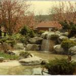 The fountain at Pioneer Memorial Park flowed freely from 1965 until sometime around 1990, when numerous mechanical and maintenance issues encouraged the City of Sequim to shut it down and cement it over. Photo courtesy of Sequim Prairie Garden Club