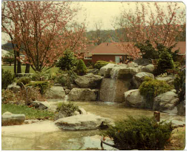 The fountain at Pioneer Memorial Park flowed freely from 1965 until sometime around 1990, when numerous mechanical and maintenance issues encouraged the City of Sequim to shut it down and cement it over. Photo courtesy of Sequim Prairie Garden Club