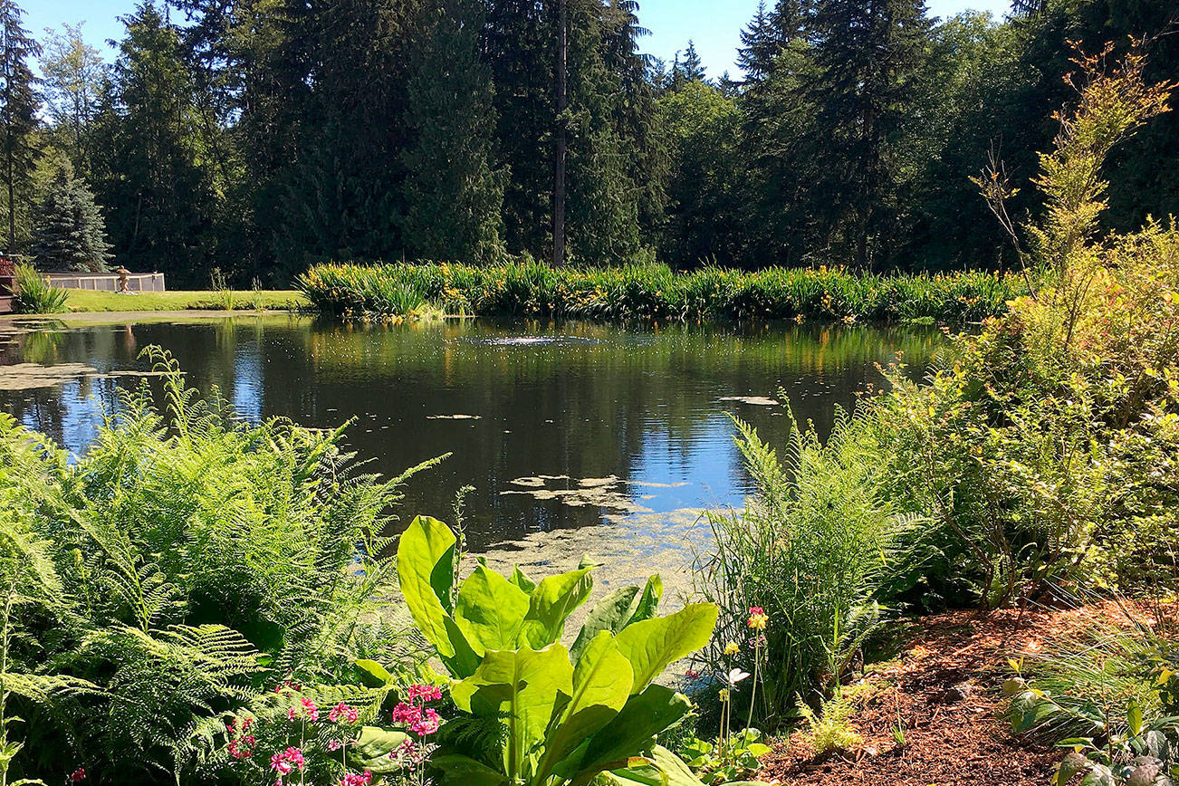 Petals Pathways: Annual tour features six breathtaking peninsula ...