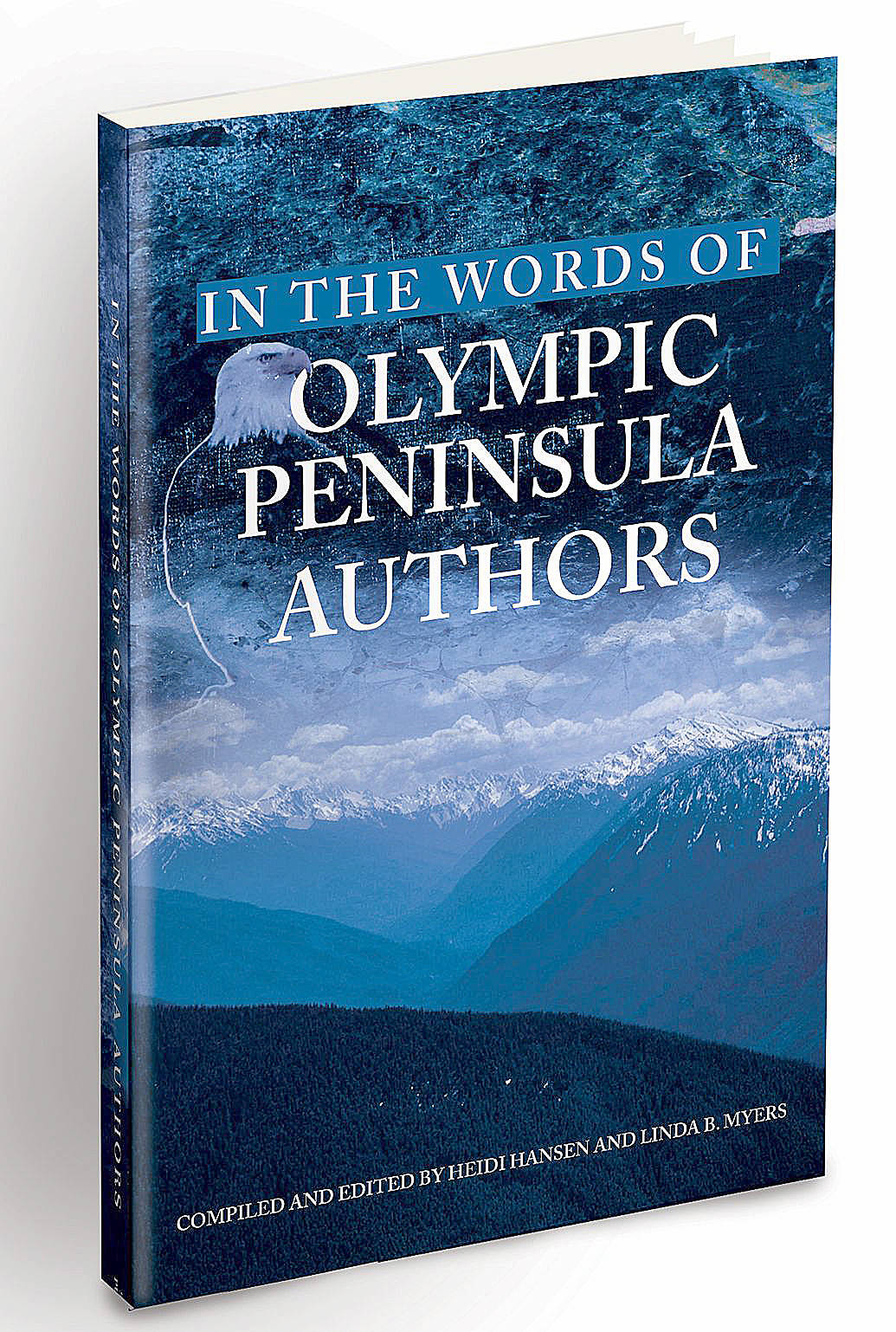 Author group seeks submissions for second anthology