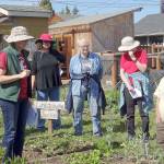 Get tips on tomatoes, veggies at ‘Second Saturday’ walk
