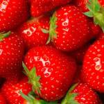 Farm to Table: Food Assistance, Market Match increases access to healthy food