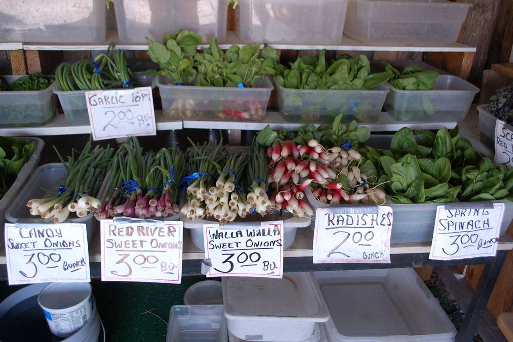 Sofie Farms also offers several different kinds of organic produce at its farm stand on Evans Road. Sequim Gazette photo by Erin Hawkins