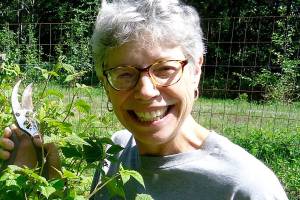 Master Gardener to talk raspberries