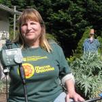 Learn all about drip irrigation systems