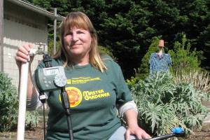 Learn all about drip irrigation systems