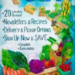 Melissa Klein first started doing freelance artwork for Nashs Organic Produce and Farm Store, such as this CSA poster she illustrated. Submitted photo