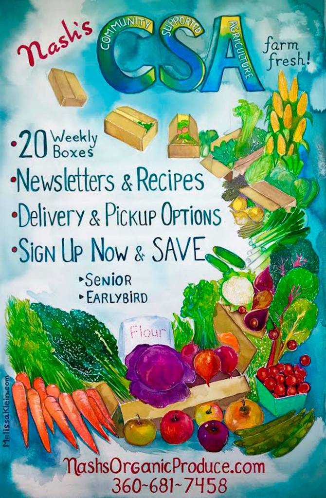 Melissa Klein first started doing freelance artwork for Nashs Organic Produce and Farm Store, such as this CSA poster she illustrated. Submitted photo