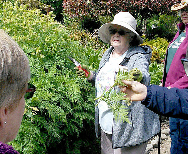 Demonstration garden tour highlights roses