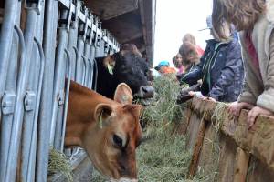 93 Days of Summer: June 28-July 4