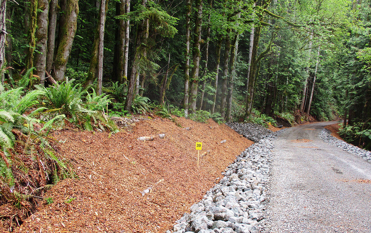 Spruce Railroad Trail open on western end