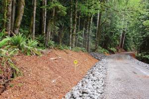 Spruce Railroad Trail open on western end