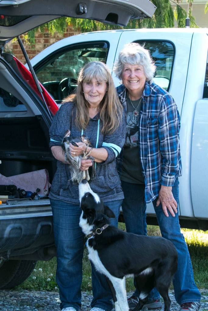 Jaye Moore, director of the Northwest Raptor & Wildlife Center, stands with Suzanne Anaya and her dog Champ after they rescued Harold Heron, Jr., near Sequim Bay from a tree. Photo courtesy Ken Kennedy