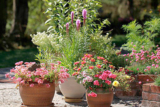 Get It Growing: Set your July gardening calendar