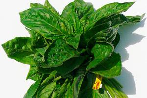 Farm to Table: Basil from Nash’s Organic Farm