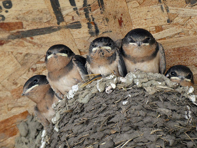 Weather — July 4, 2018