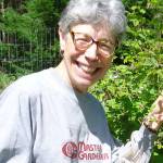 Learn approaches for better berry crops