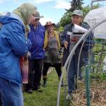 Community Garden Walk set for Saturday in Port Angeles