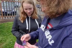 Community Garden Walk set for Saturday in Port Angeles
