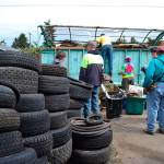 Part of a new study on the City of Sequims Code Enforcement encourages working with volunteer groups such as Habitat for Humanity of Clallam County with Sequim Service Fest in June to help homeowners that want to comply with city standards but are unable to for various differences. Sequim Gazette file photo by Matthew Nash