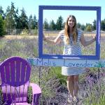 My lavender marathon: Reporter Erin Hawkins visits 16 lavender farms in one day