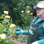 Tours in bloom at demonstration garden