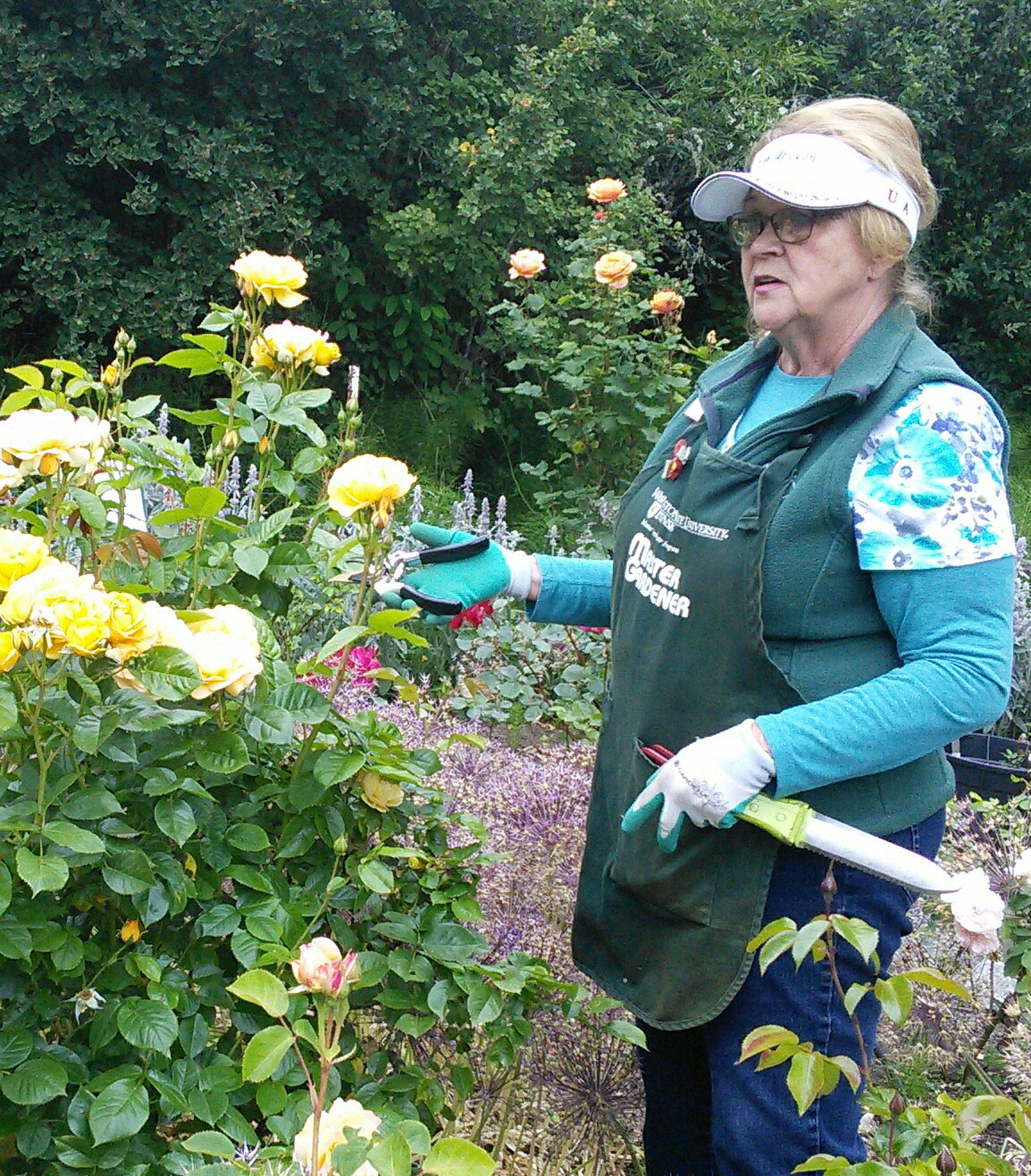 Master Gardener Sally Shunn demonstrates pruning and offers tips on caring for roses during a recent guided garden walk at the Woodcock Demonstration Garden. Submitted photo