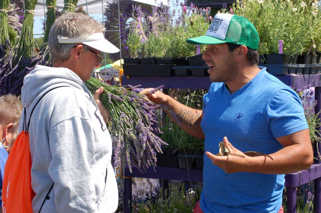 Loretta Spencer from Hoodsport chats with Juan Gonzalez of Melis Lavender Farm about lavender at the Sequim Lavender Festival Street Fair at Carrie Blake Park.