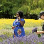 Tasha Witherspoon of Seattle smells the lavender at Purple Haze Lavender Farm.