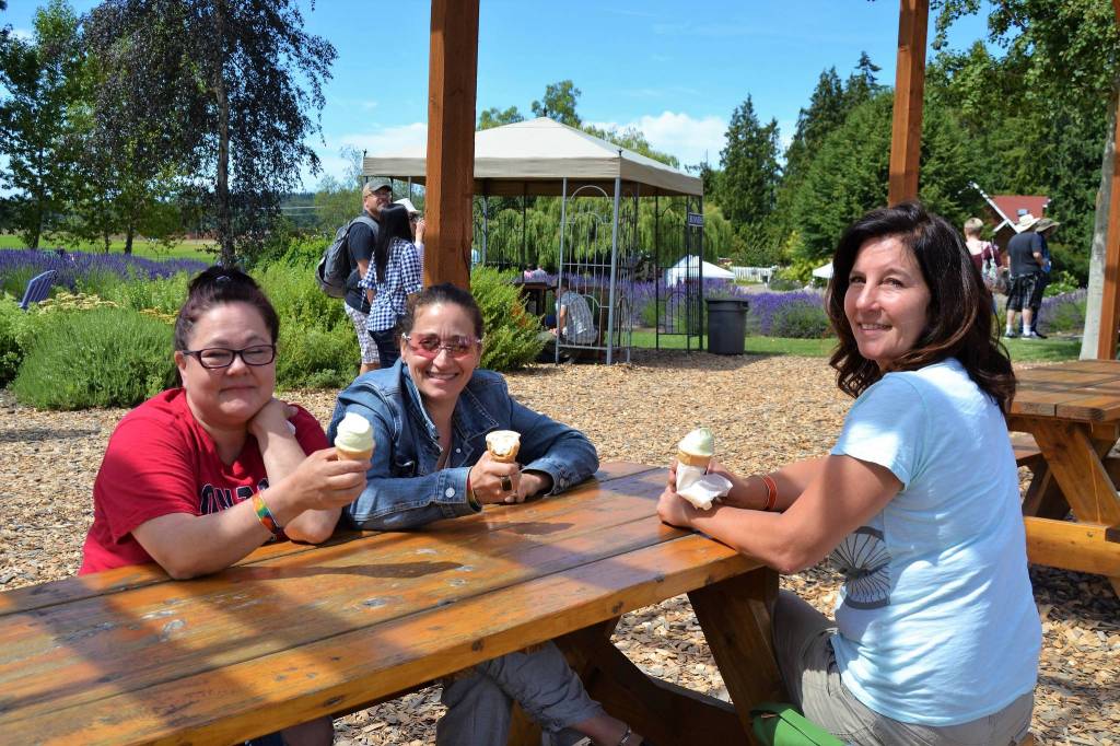 Kim Baltadonis of Tacoma, Caroline Hamilton of Gig Harbor and Michelle Huffmaster of Tacoma enjoy some lavender ice cream at Purple Haze Lavender Farm. Last Saturday, was Baltadonis first time to a Sequim lavender farm, she said, while Hamilton and Huffmaster have visited the last five years. Sequim Gazette photo by Matthew Nash