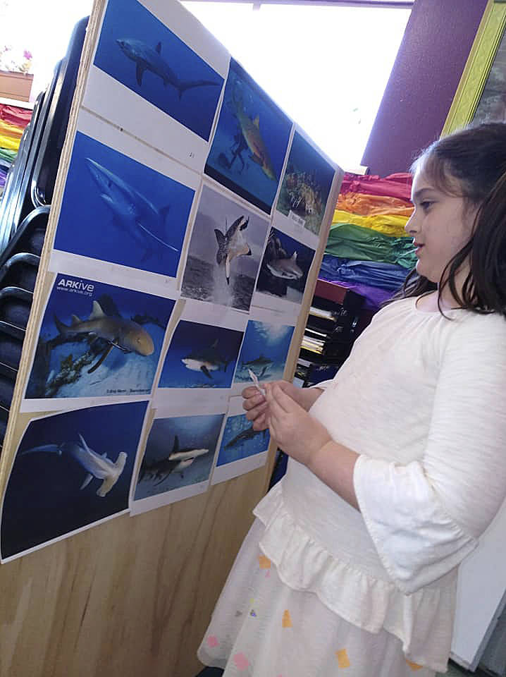 In conjunction with Discovery Channels Shark Week, Sequim Boys & Girls Club summer campers learn all about sharks last week.