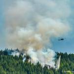 Cause of fire south of Blyn under investigation