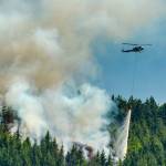 Cause of fire south of Blyn under investigation