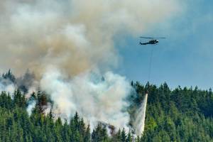 Cause of fire south of Blyn under investigation