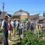 Community garden walk set in Port Angeles