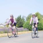 Sequim’s Tour De Lavender sees sunny skies, big turnout
